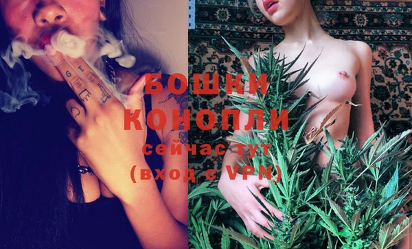 индика Пролетарск